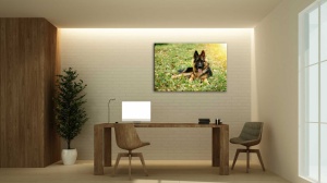 Tablou Canvas animale caine lup la panda - Img 1
