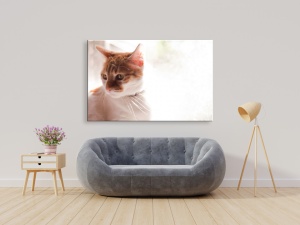 Tablou Canvas animale pisica melancolica - Img 2