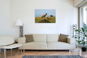 Tablou Canvas Antilope - Img 1