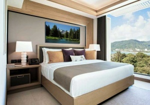 Tablou Canvas Brazi Vara - Img 1