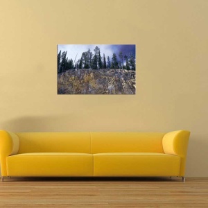 Tablou Canvas Brazi - Img 1