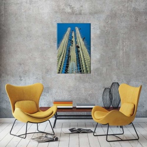 Tablou Canvas Cactus - Img 1