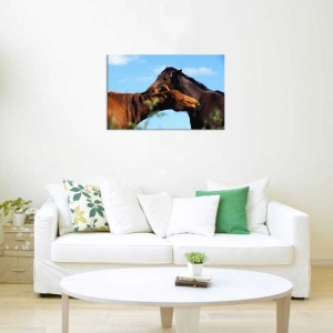 Tablou Canvas Cai - Img 1