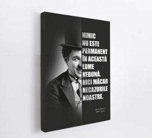 Talou Citate Motivationale Charlie Chaplin - Necazurile