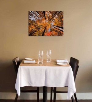 Tablou Canvas Copaci Toamna - Img 1
