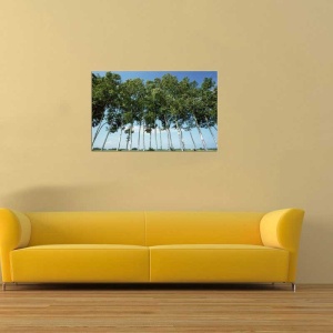 Tablou Canvas Copaci - Img 1