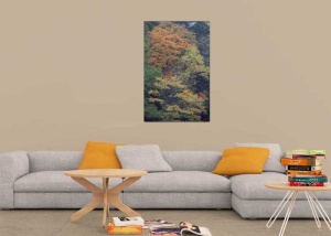 Tablou Canvas Copaci - Img 1