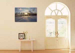Tablou Canvas Copaci - Img 1