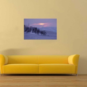 Tablou Canvas Copaci - Img 1