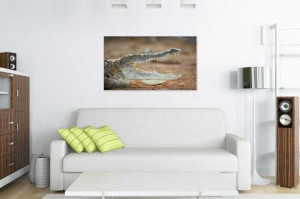 Tablou Canvas Crocodil - Img 1