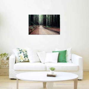 Tablou Canvas Drum prin padure - Img 1
