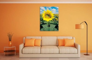 Tablou Canvas Floarea-Soarelu - Img 1