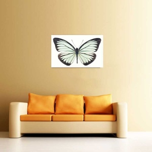 Tablou Canvas Fluturas - Img 1