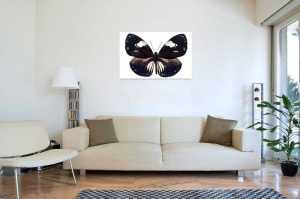 Tablou Canvas Fluturas - Img 1