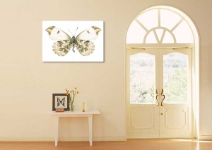 Tablou Canvas Fluturas - Img 1