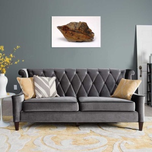 Tablou Canvas Fosila - Img 1
