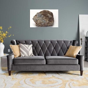 Tablou Canvas Fosila - Img 1