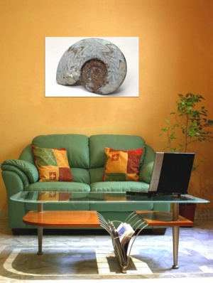 Tablou Canvas Fosila - Img 1