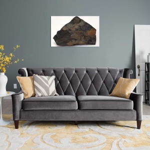 Tablou Canvas Fosila - Img 1