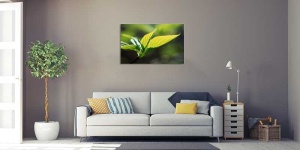 Tablou Canvas Frunza - Img 1