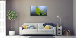 Tablou Canvas Frunza - Img 1