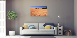 Tablou Canvas Grau - Img 1