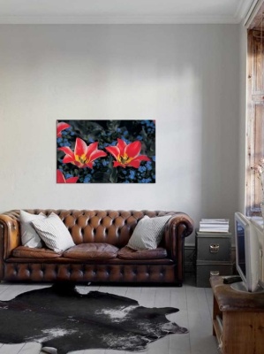 Tablou Canvas Lalele Rosii - Img 1
