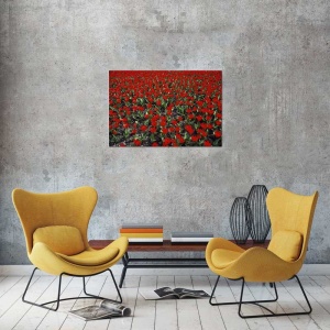 Tablou Canvas Lalele Rosii - Img 1