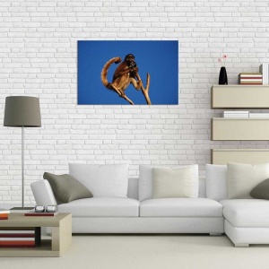 Tablou Canvas Maimuta - Img 1