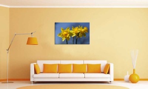 Tablou Canvas Narcise - Img 1
