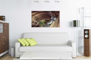 Tablou Canvas Natura - Img 1