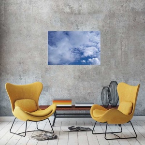 Tablou Canvas Nori Albi pe Cer - Img 1