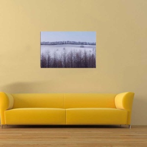 Tablou Canvas Padure iarna - Img 1