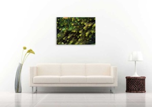 Tablou Canvas Pesti - Img 1