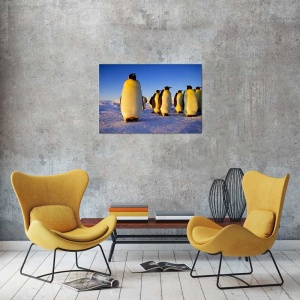 Tablou Canvas Pinguini - Img 1