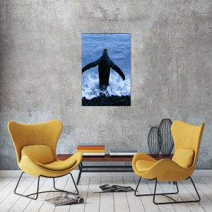 Tablou Canvas Pinguin - Img 1