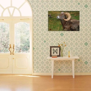 Tablou Canvas Ram Animal - Img 1