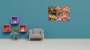 Tablou Canvas ri underwater - pesti decorativi