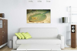 Tablou Canvas Subacvatic - Img 1