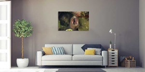 Tablou Canvas Subacvatic - Img 1