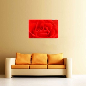 Tablou Canvas Trandafir rosu - Img 1