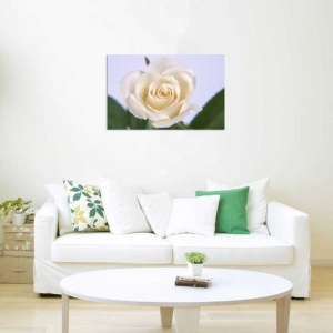 Tablou Canvas Trandafir - Img 1