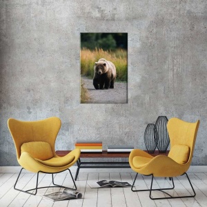 Tablou Canvas Urs - Img 1