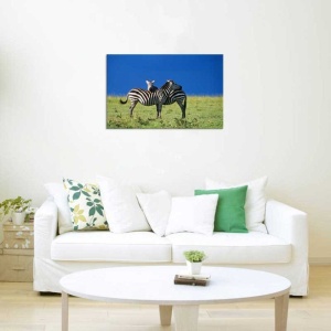 Tablou Canvas Zebre - Img 1