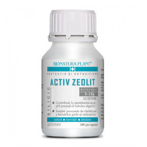 Activ Zeolit Silicic