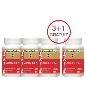 Articular Protect 3+1 Gratuit, 60 capsule x 4 - Img 2