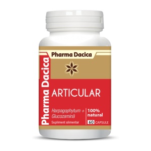 Articular Protect-60 Cps - Img 2