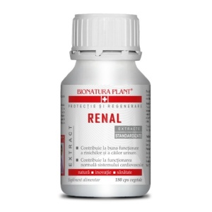 Renal - Img 4
