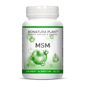 MSM - Img 2