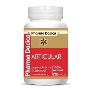 Articular Protect-60 Cps - Img 4